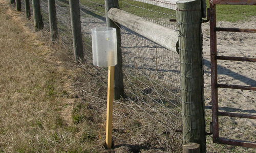 Alsynite traps for monitoring and control of stable flies, Stomoxys calcitrans (L.). 