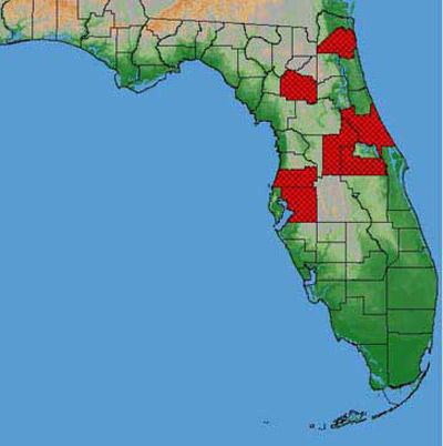 Reported distribution of the cherry fruit fly, Rhagoletis cingulata (Loew), in Florida.