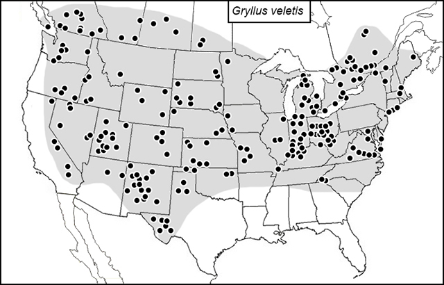 distribution map for Gryllus veletis