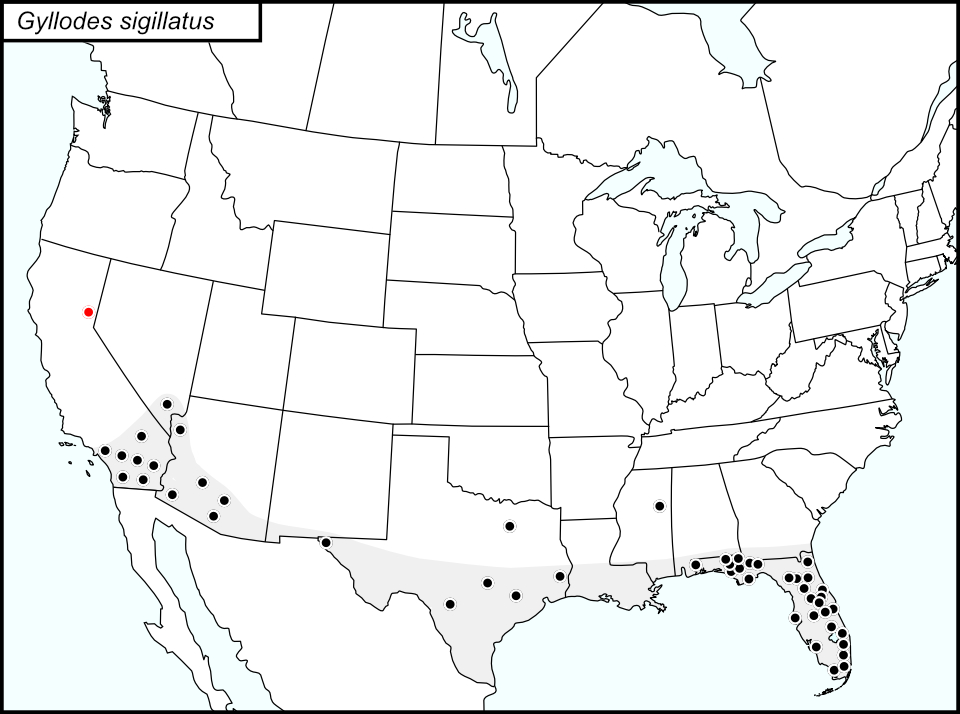distribution map for Gryllodes sigillatus